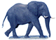 An elephant wagging its tail