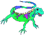 A bright-green lizard
