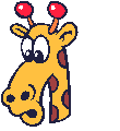 A giraffe’s head