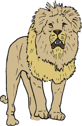 A lion facing forwards