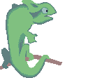 A green lizard