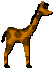 A giraffe seen from the side