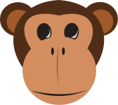 A monkey’s face