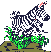 An adult and child zebra